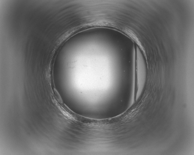 X0000074960389200609221802