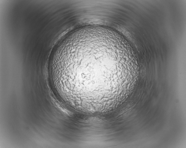 X0000074960390200609221802