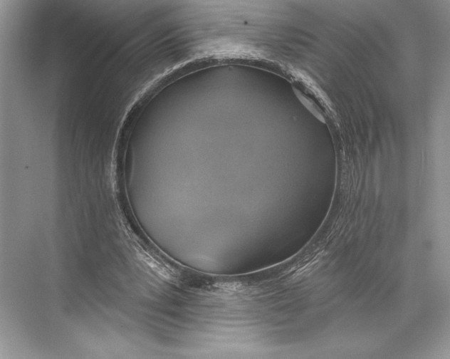 X0000074960391200609221802