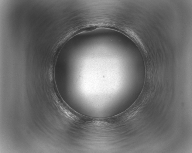 X0000074960393200609221802