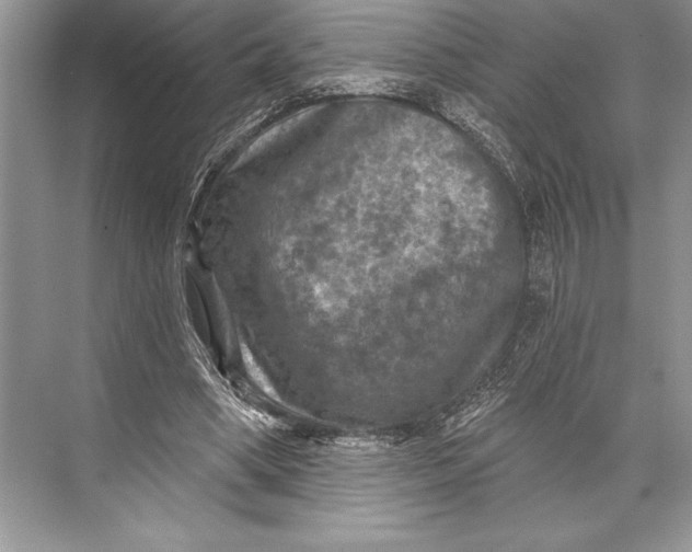 X0000074960394200609221802