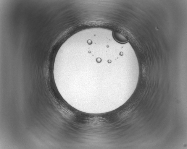 X0000074960396200609221802