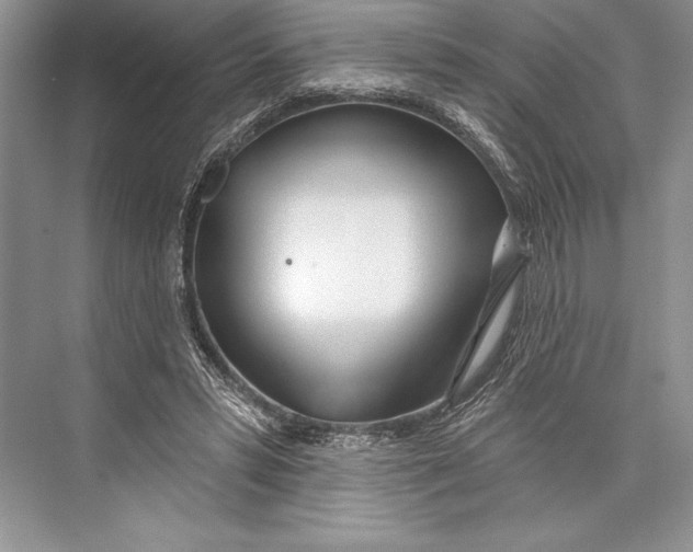 X0000074960399200609221802