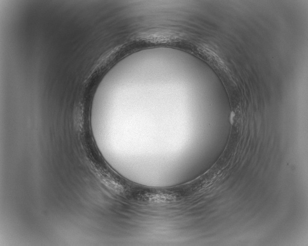 X0000074960400200609221802