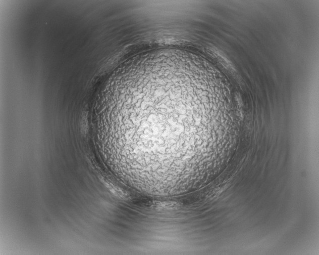 X0000074960401200609221802