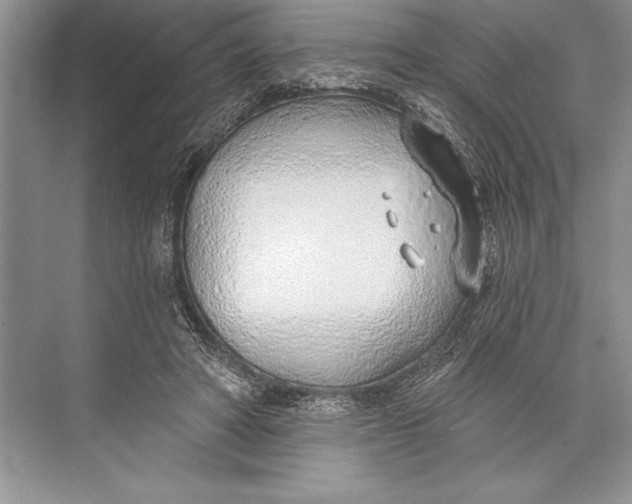 X0000074960402200609221802