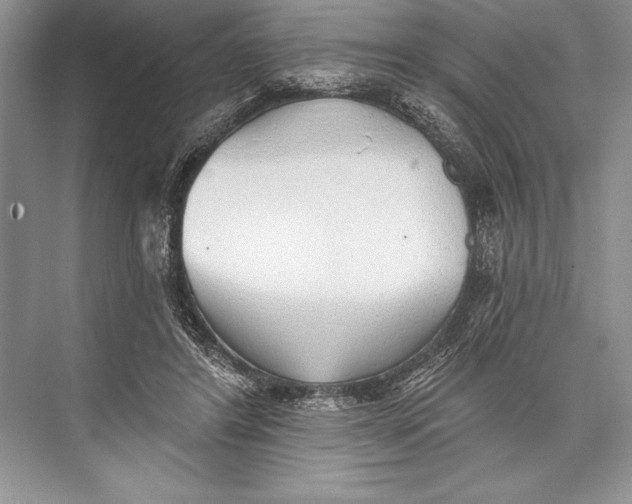 X0000074960404200609221802