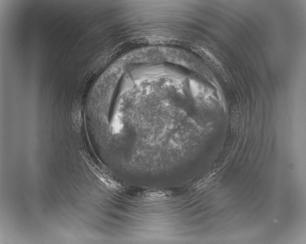 X0000074960405200609221802