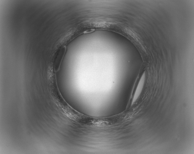 X0000074960407200609221802