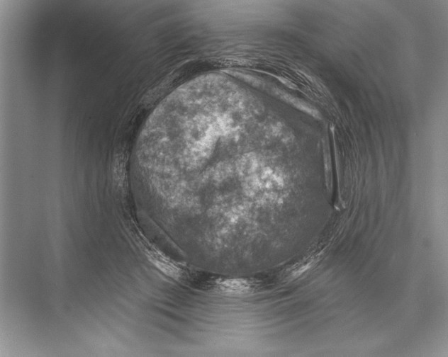 X0000074960409200609221802