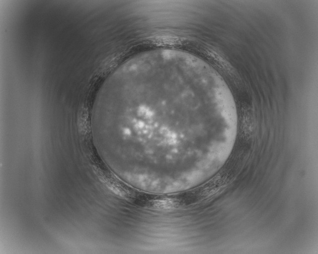 X0000074960411200609221802