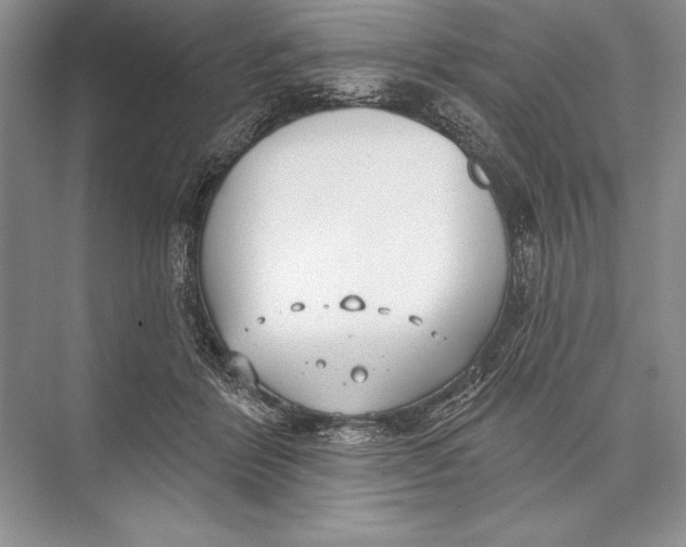 X0000074960412200609221802