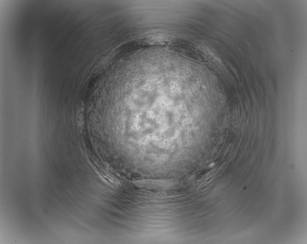 X0000074960413200609221802