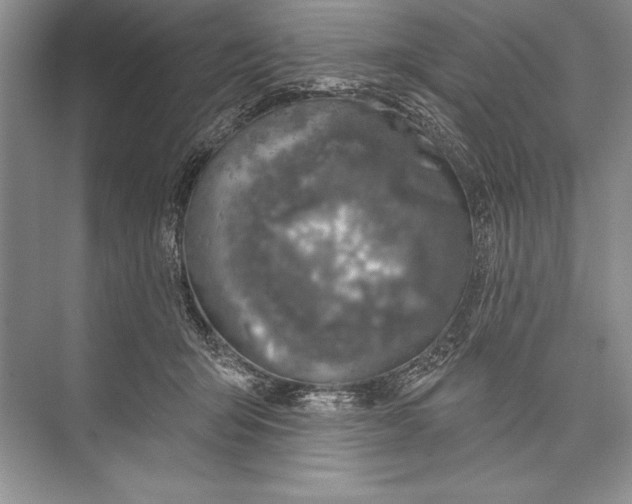 X0000074960415200609221802