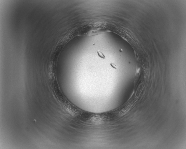 X0000074960416200609221802