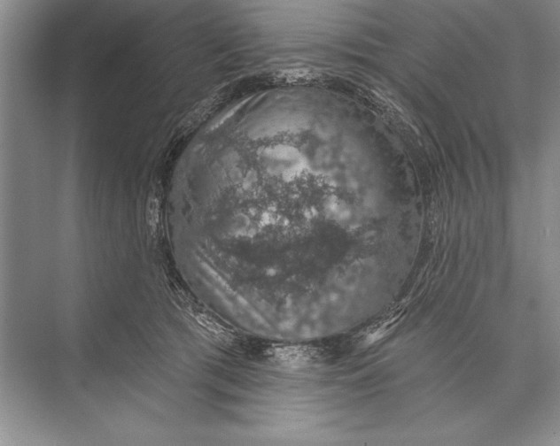 X0000074960417200609221802