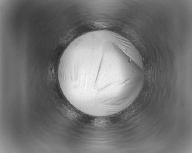 X0000074960418200609221802