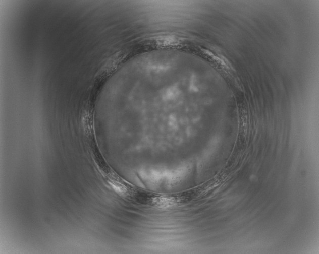 X0000074960419200609221802