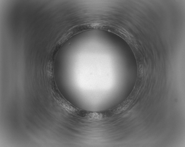 X0000074960421200609221802