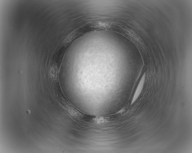 X0000074960425200609221802