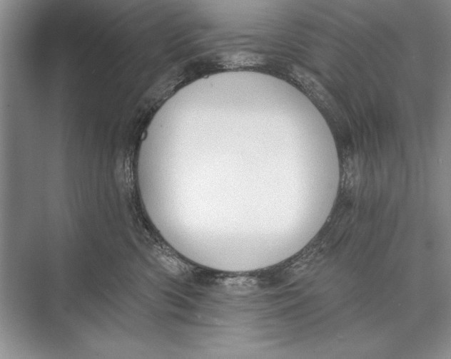 X0000074960426200609221802