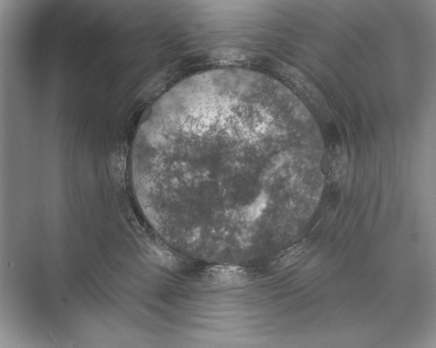 X0000074960427200609221802