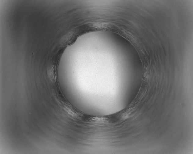 X0000074960428200609221802