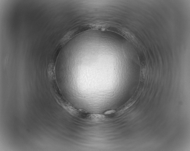 X0000074960429200609221802