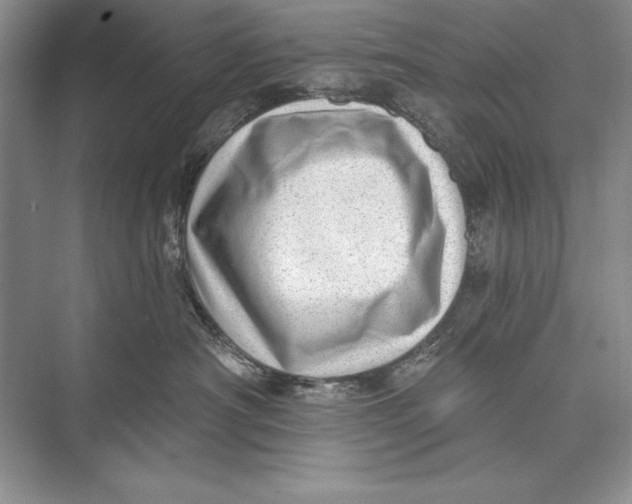 X0000074960430200609221802