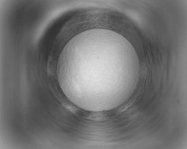 X0000074960431200609221802