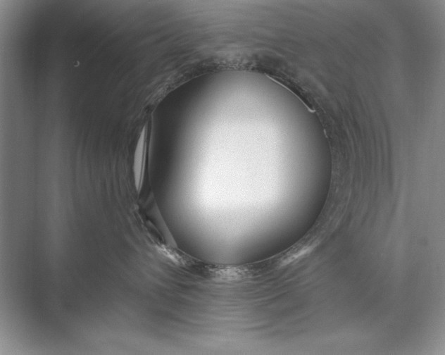 X0000074960432200609221802