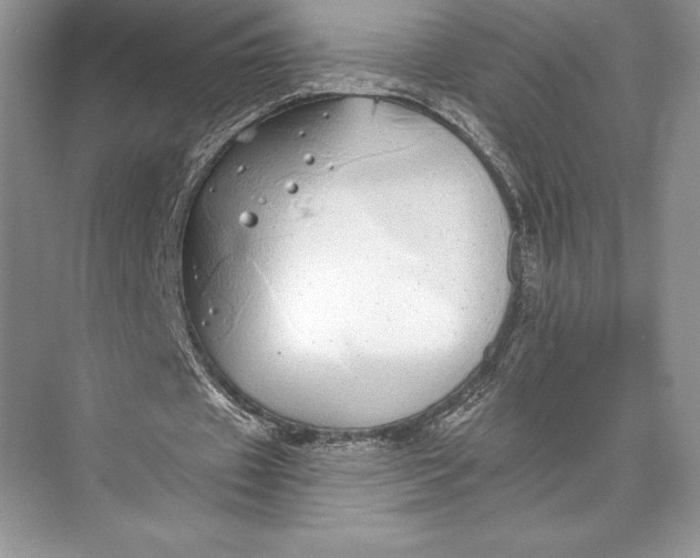 X0000074960433200609221801