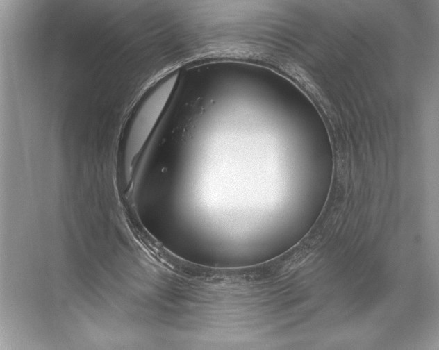 X0000074960434200609221801