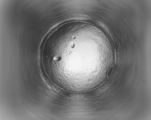 X0000074960435200609221801