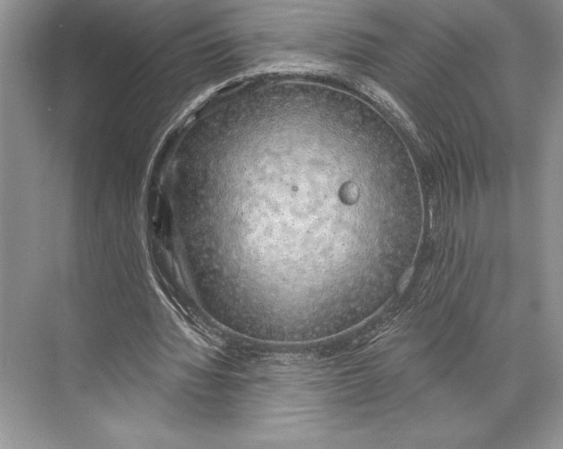 X0000074960436200609221801