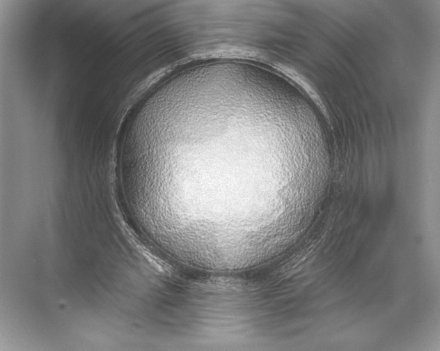 X0000074960437200609221801