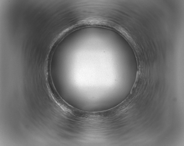 X0000074960438200609221801