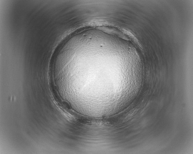 X0000074960439200609221801