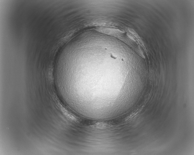 X0000074960441200609221801