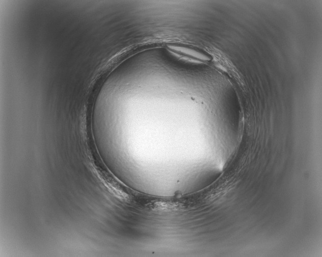 X0000074960442200609221801