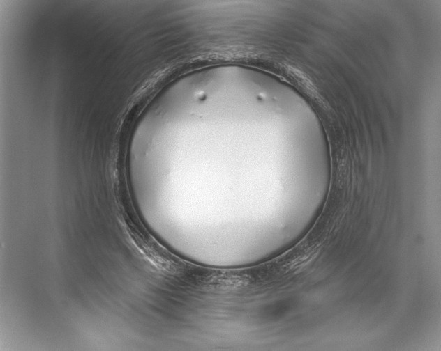 X0000074960443200609221801