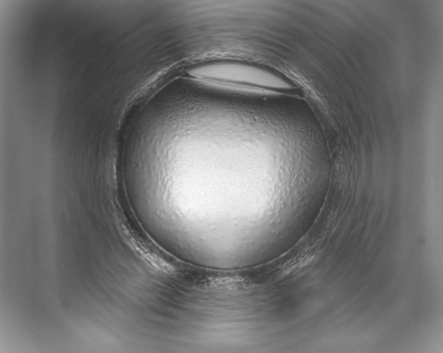 X0000074960446200609221801