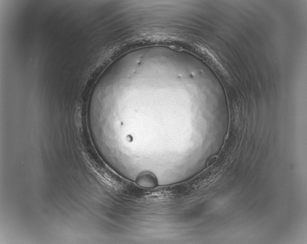 X0000074960447200609221801