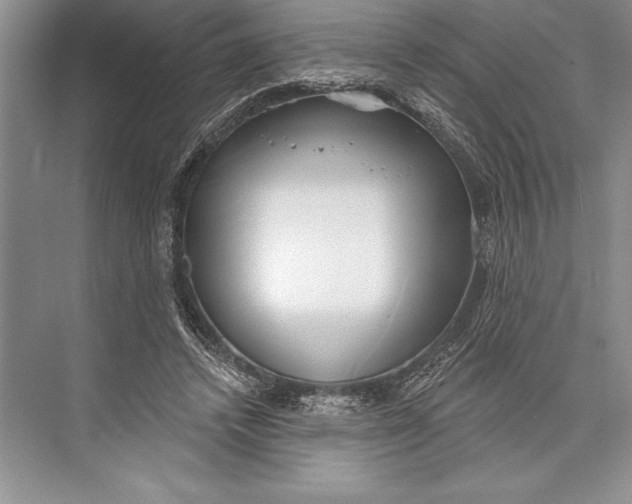 X0000074960448200609221801