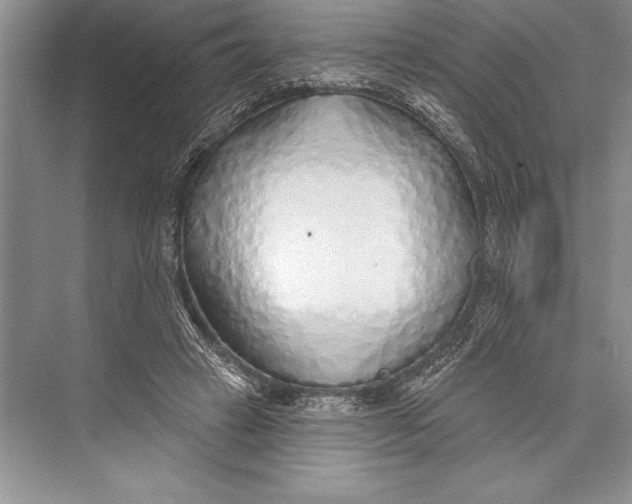 X0000074960449200609221801