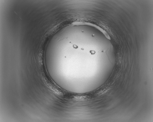 X0000074960450200609221801