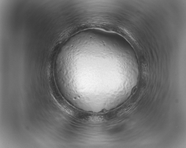 X0000074960451200609221801