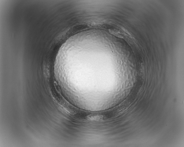 X0000074960452200609221801