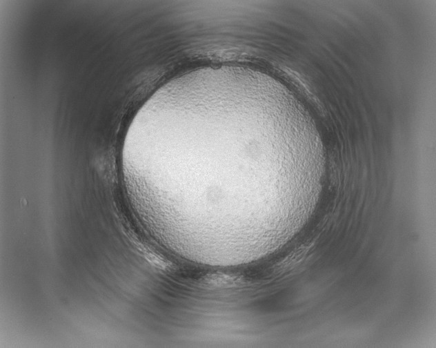 X0000074960453200609221801