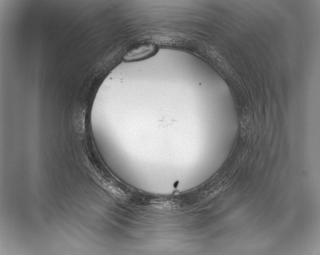 X0000074960454200609221801